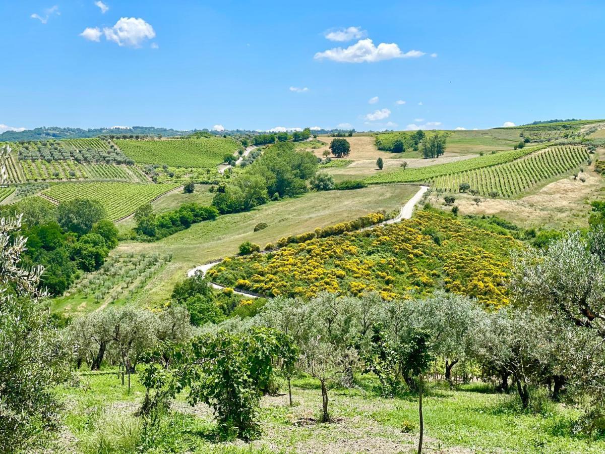 Agriturismo Le Masciare Paternopoli Zewnętrze zdjęcie
