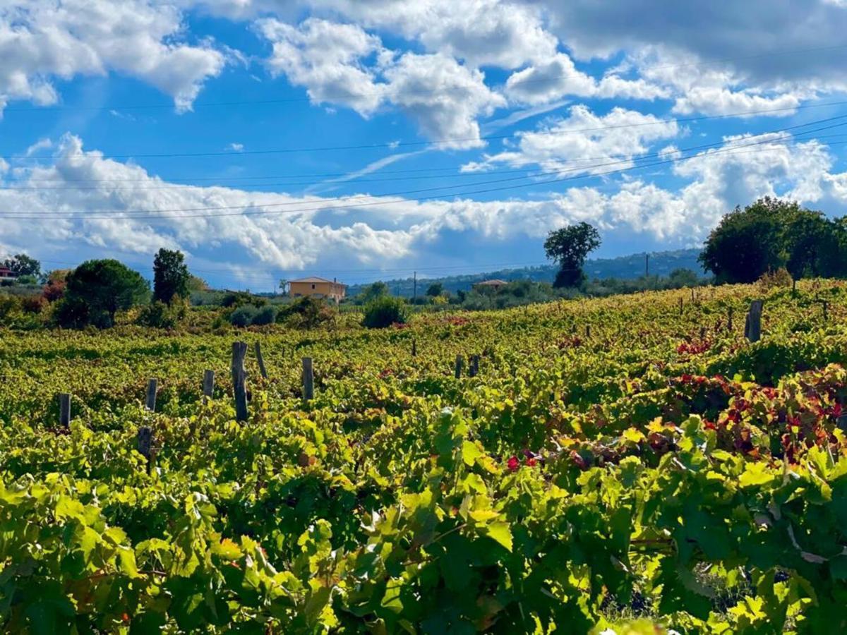 Agriturismo Le Masciare Paternopoli Zewnętrze zdjęcie